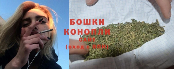 мдпв Волоколамск