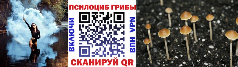 Галлюциногенные грибы Magic Shrooms  купить закладку  KRAKEN рабочий сайт  Северодвинск 